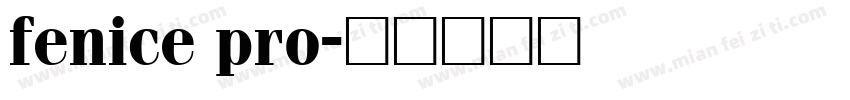 fenice pro字体转换